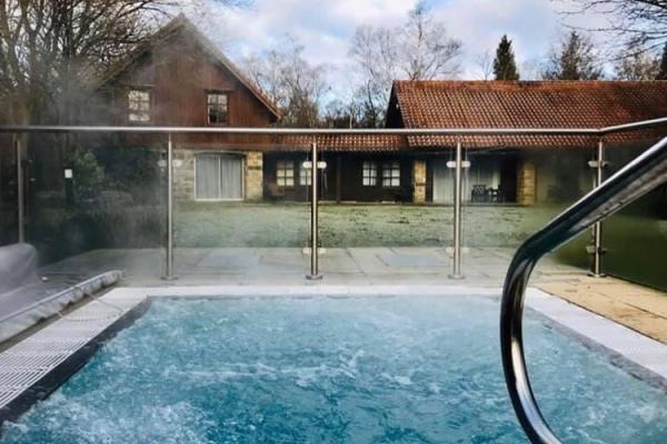 Morning Lakeside Reviver