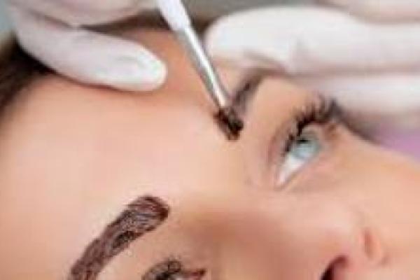 Eyebrow Wax and Tint