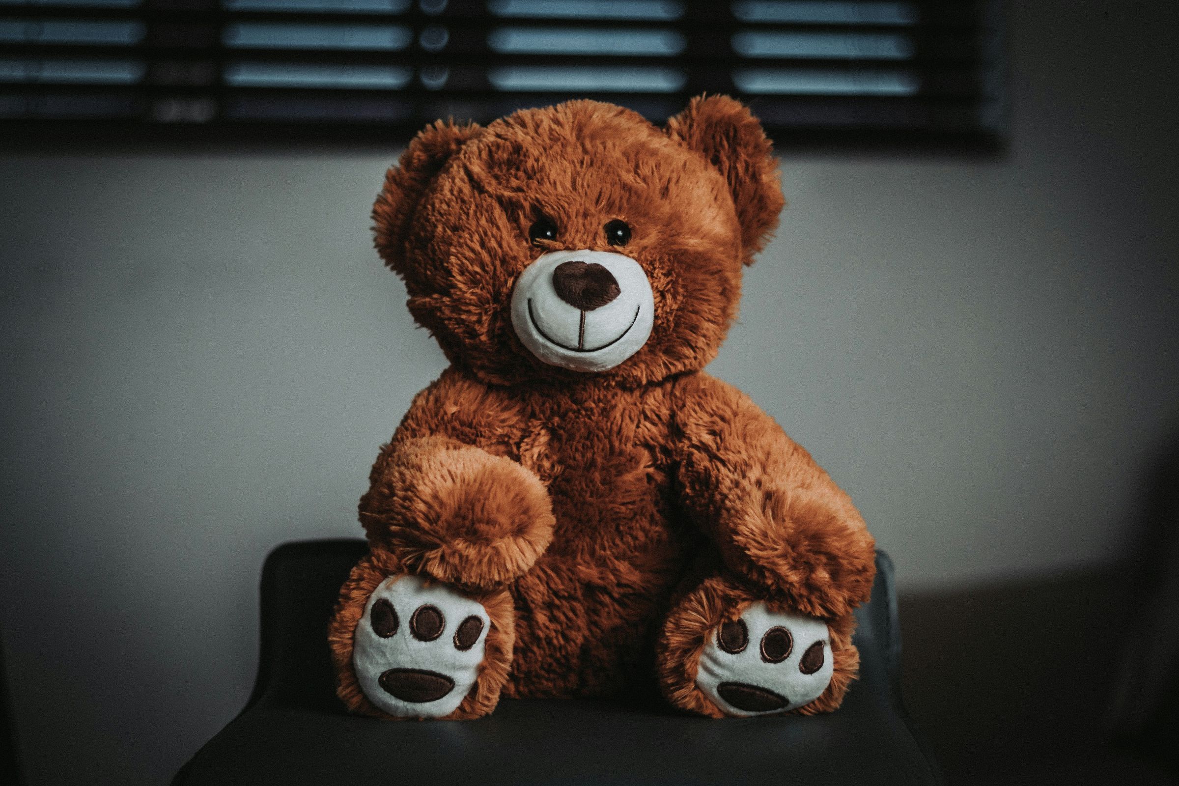 Bear Builder Workshop