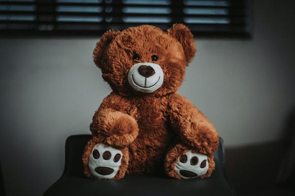 Bear Builder Workshop