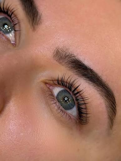 Brow Wax, Tint and Eyelash Tint