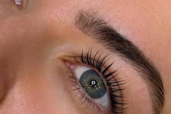 Brow Wax, Tint and Eyelash Tint