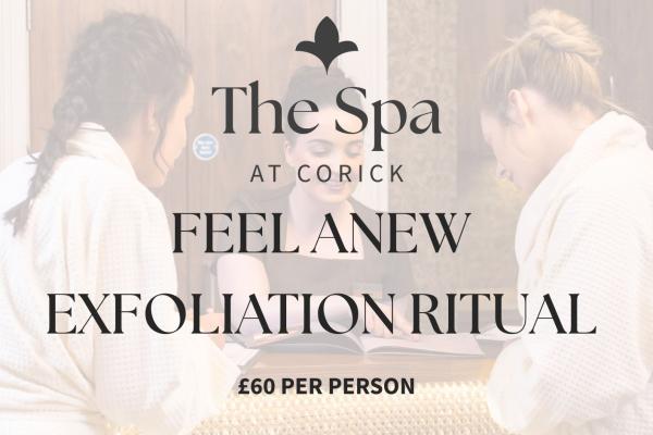 Feel Anew | Exfoliation Ritual