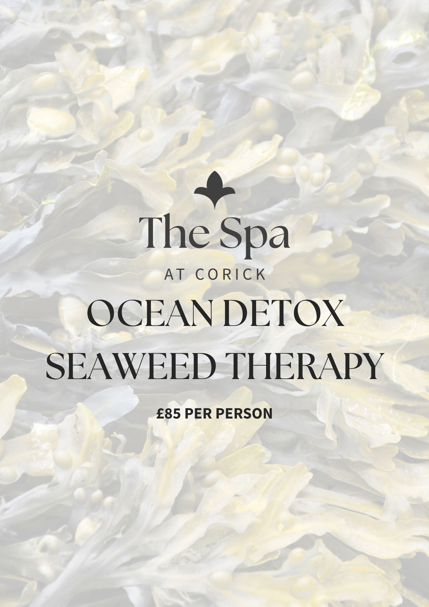 Ocean Detox | Irish Seaweed Therapy