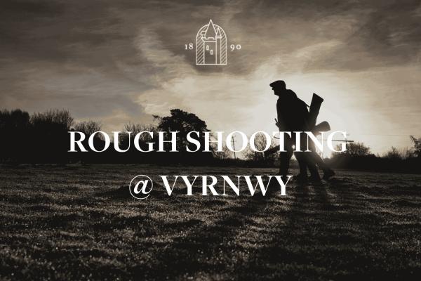 Full Day Rough Shooting
