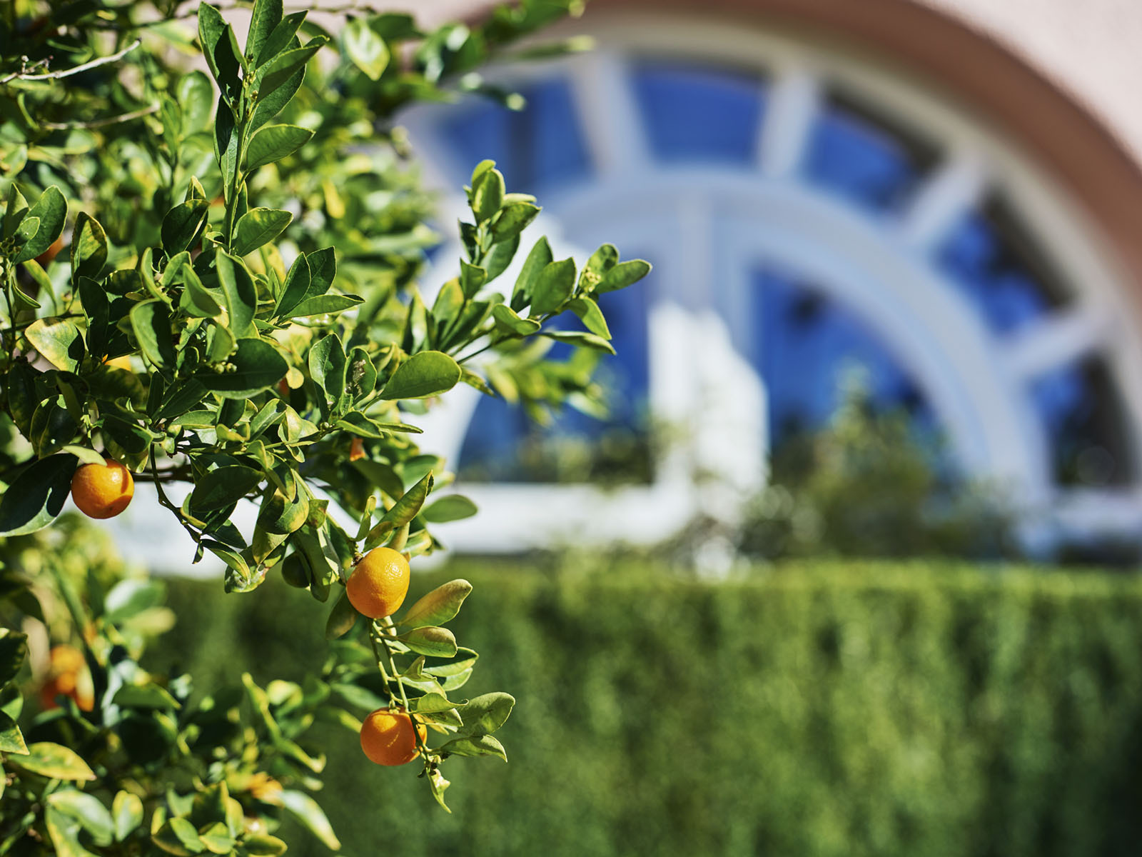 Spa Promotion - Citrus Renewal (20% service charge included)