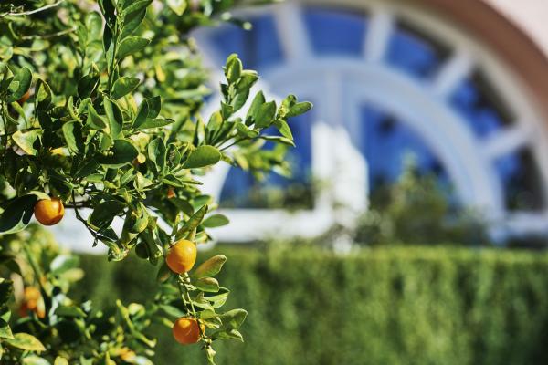 Spa Promotion - Citrus Renewal (20% service charge included)