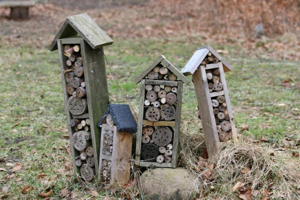 Bug Hotels and Bird Feeders