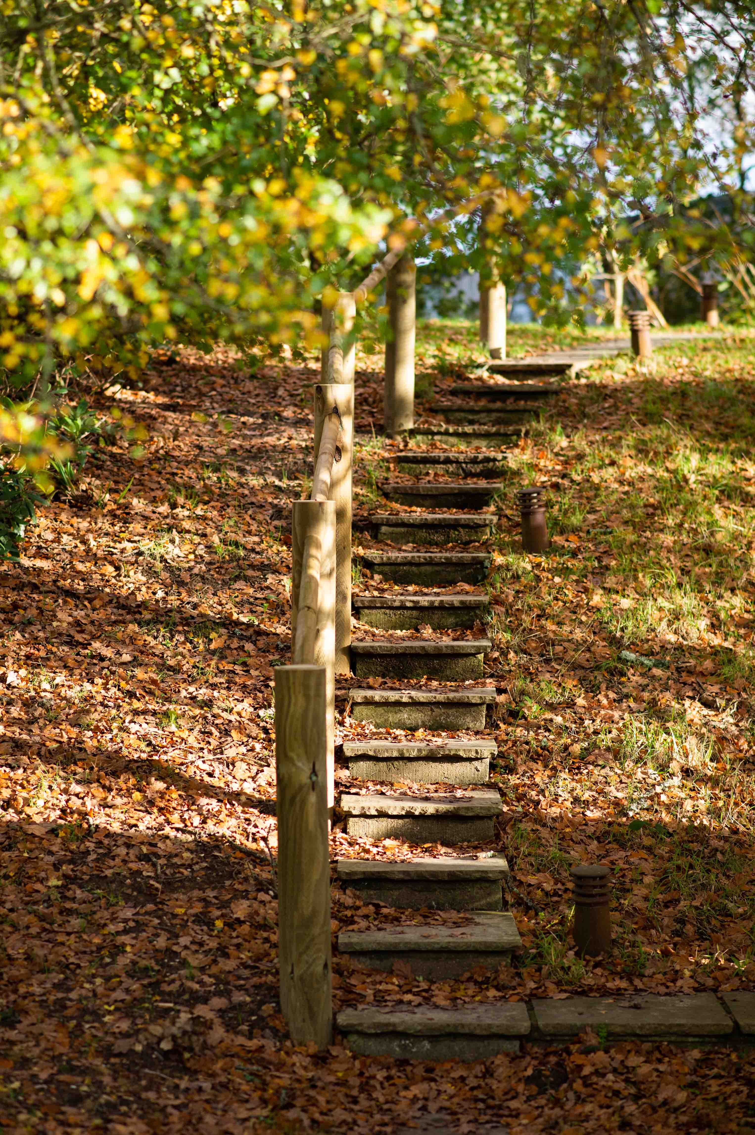 Autumn Dusk Discovery Walk