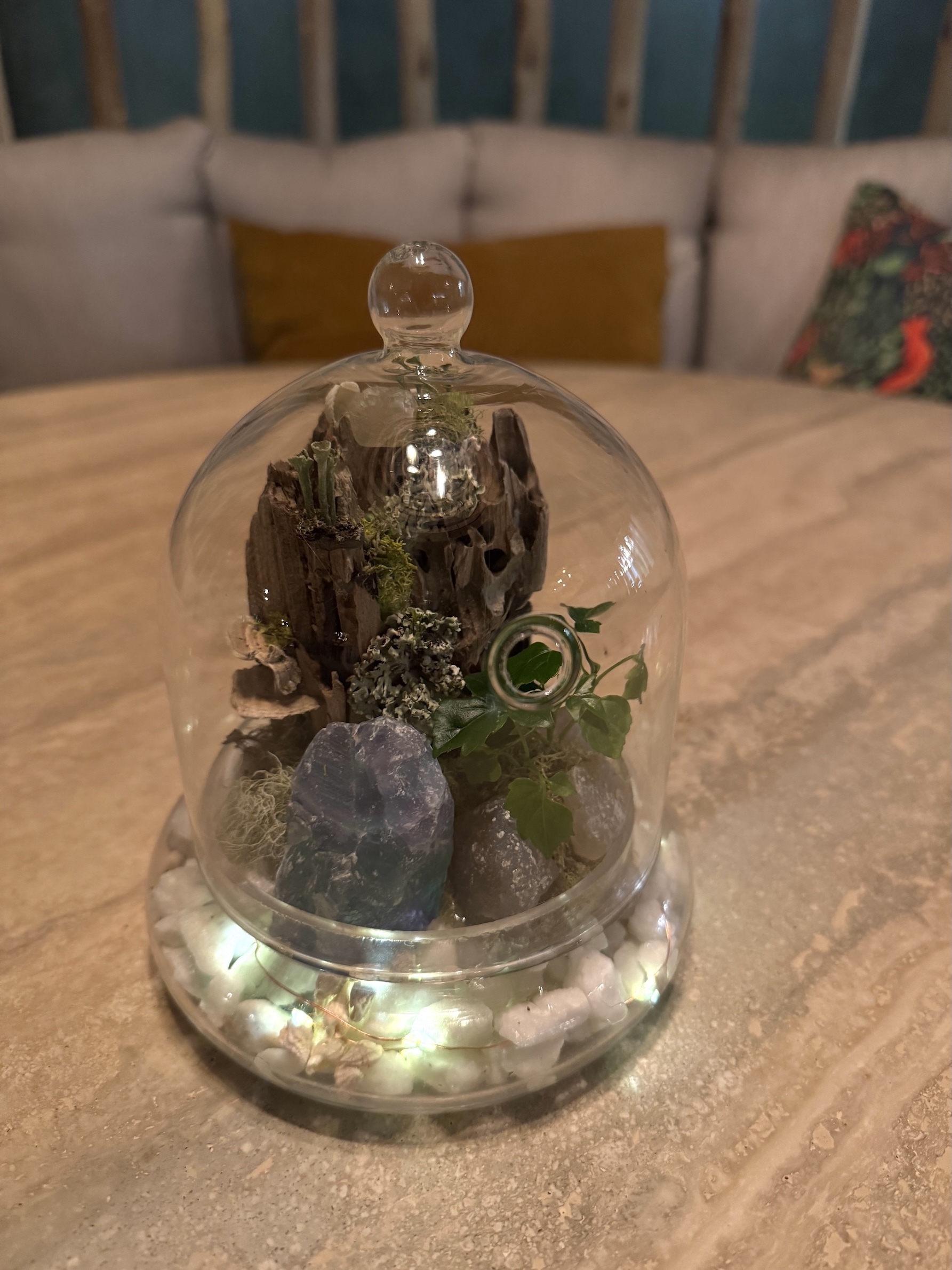 ✦ Terrarium Building Workshop at Forbidden Fruit