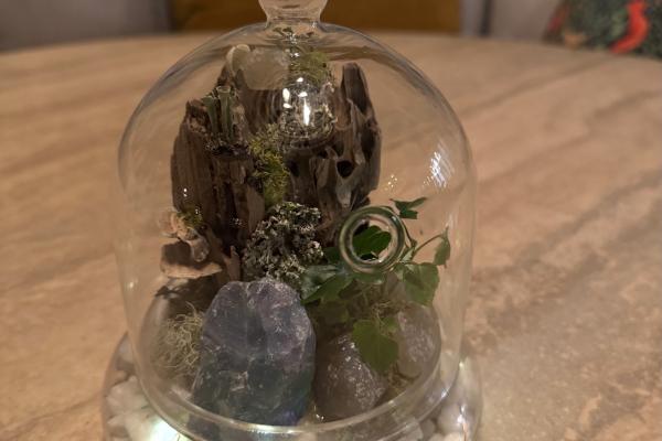 ✦ Terrarium Building + Thermal