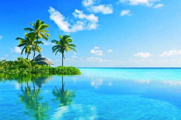 Paradise Pampering ll 60 Minute Treatment