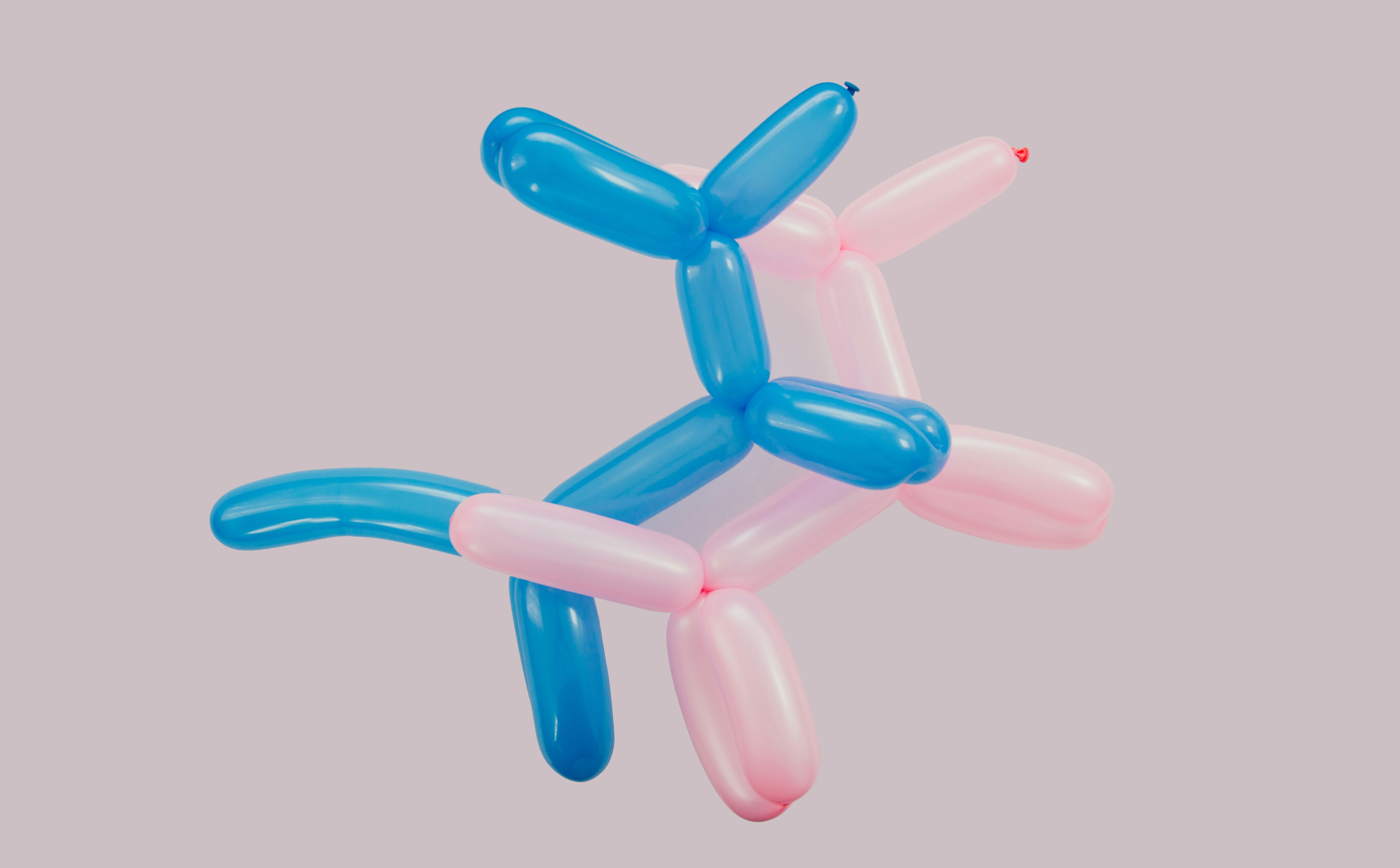 Balloon Modelling Workshop