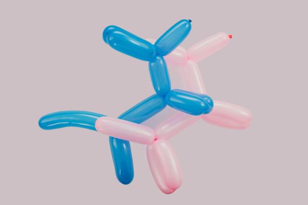 Balloon Modelling Workshop