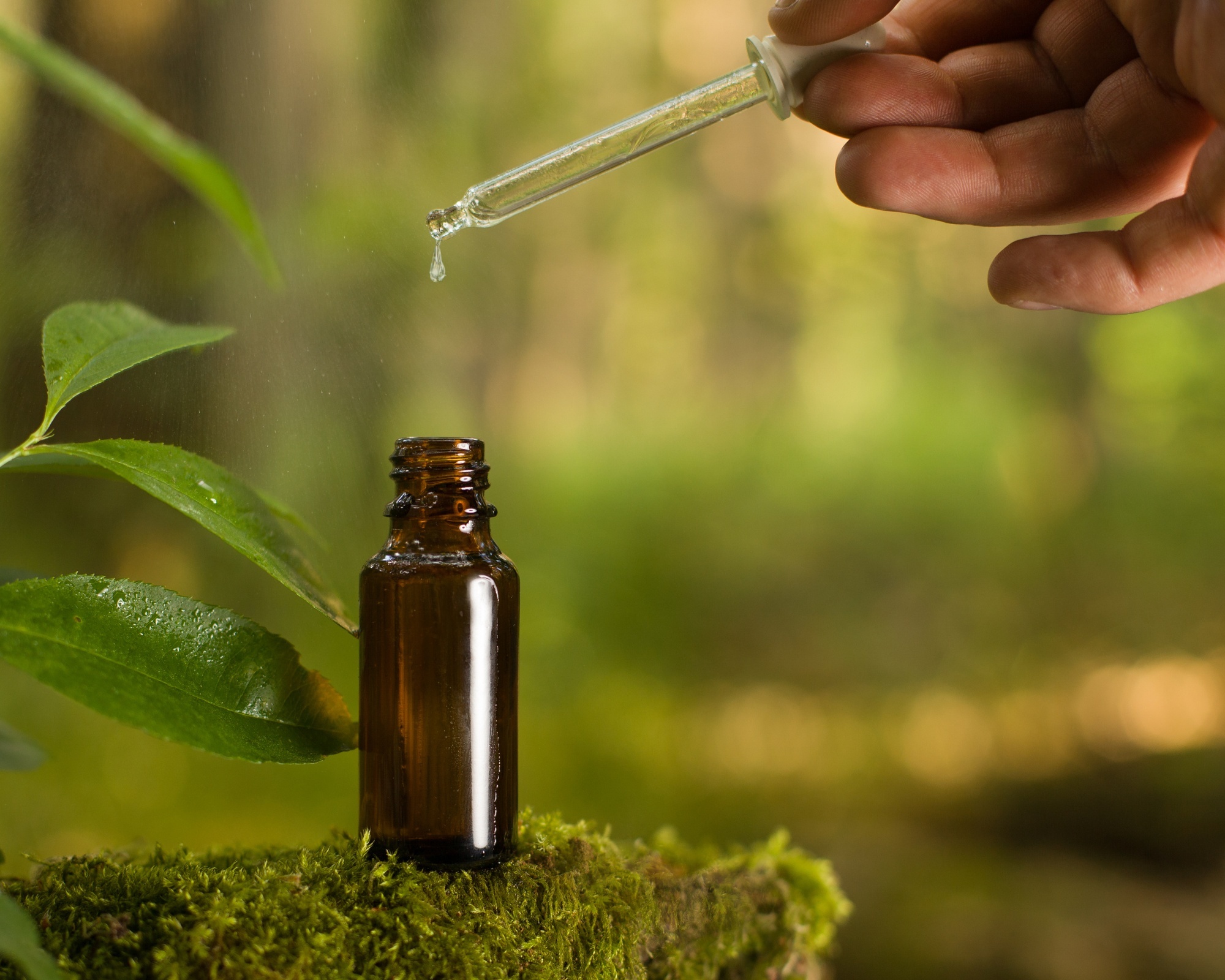 Forest Aromatherapy Journey - 60 mins