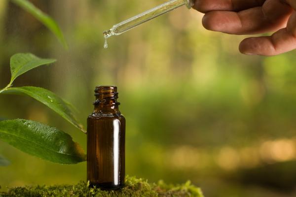 Forest Aromatherapy Journey - 60 mins