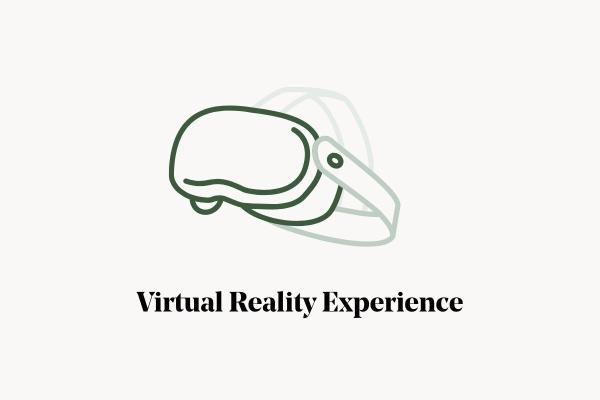 VR Experience