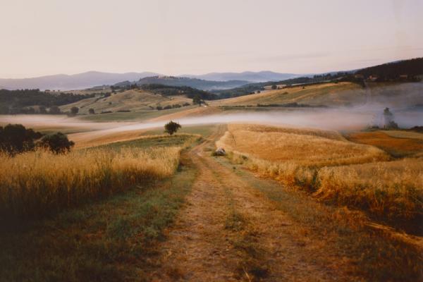 Fitness Walk