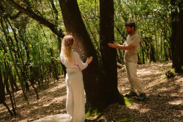Forest Bathing