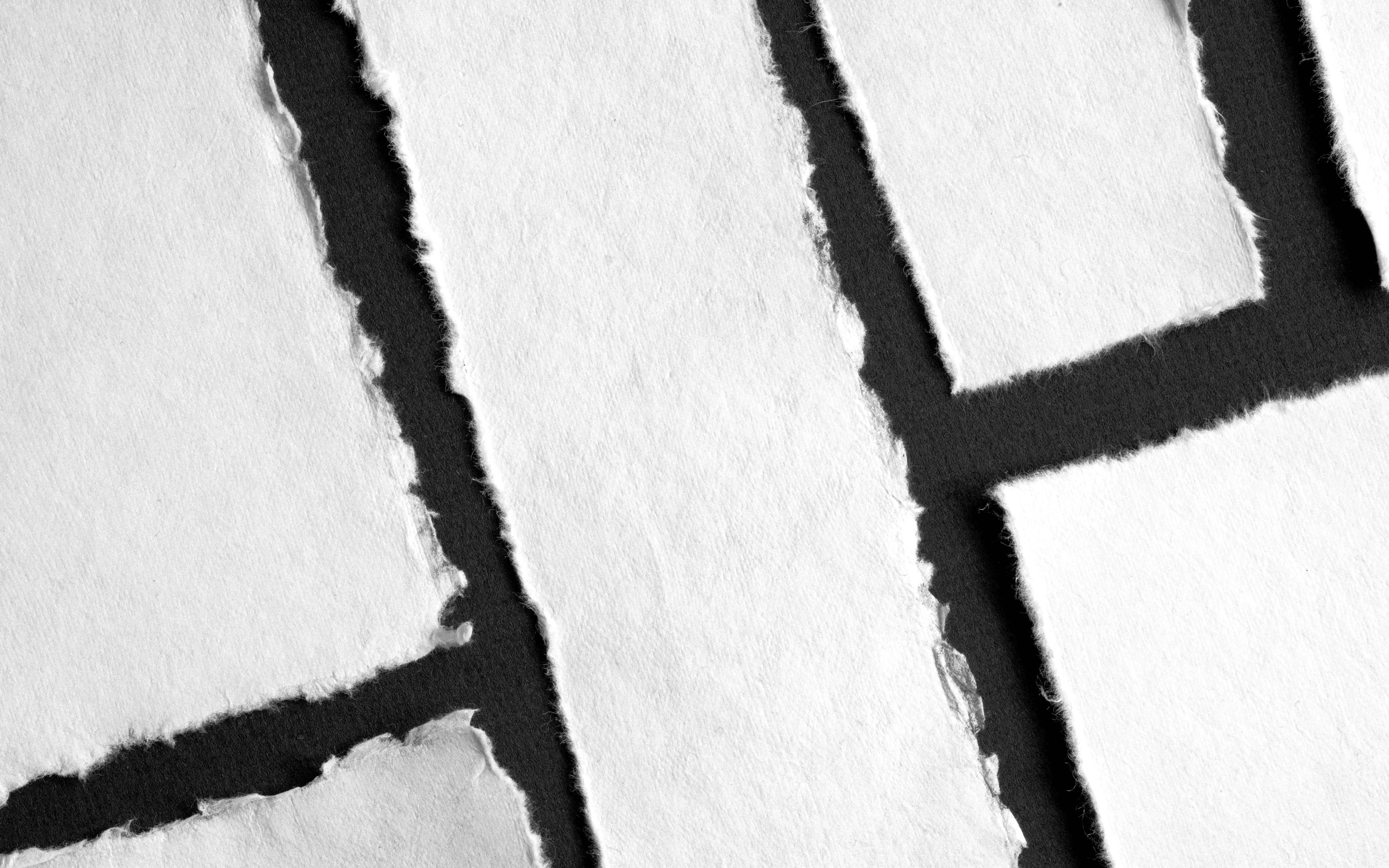 Paper Making: From Pulp to Pages