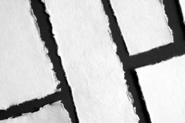Paper Making: From Pulp to Pages