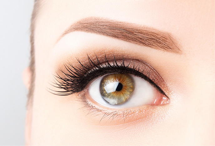 Eyebrow Shape, Eyebrow Tint and Eyelash Tint