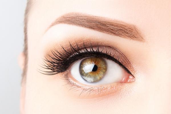 Eyebrow Shape, Eyebrow Tint and Eyelash Tint