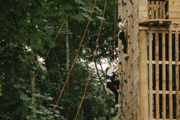 Tower Monkeys | Age 5+ (Owners and Overnight Guests Only)