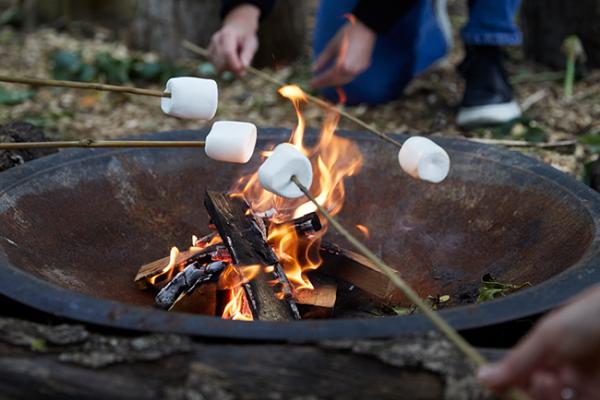 Spooky Stories and S'mores | Age 7+