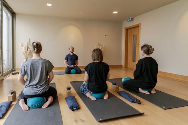 Small Group Yoga (2-4 guests): 60 Minutes