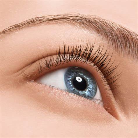 Eyelash Tint 25 Minutes