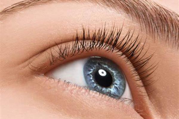 Eyelash Tint 25 Minutes