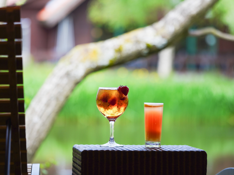 Afternoon Lakeside Experience