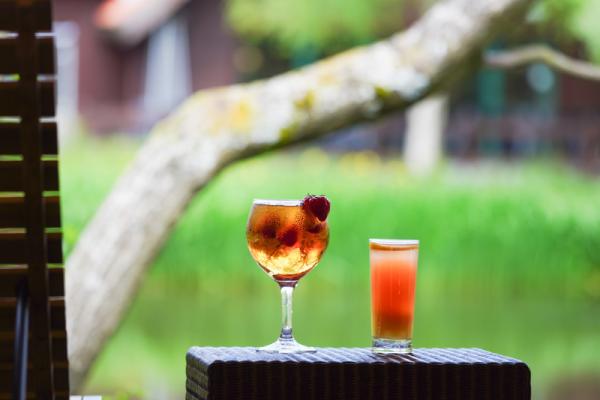 Afternoon Lakeside Experience