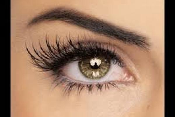 LASH TINT, BROW TINT & SHAPE
