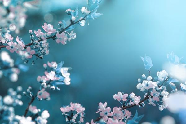 "Spring Fresh for 1" Spa & Stay