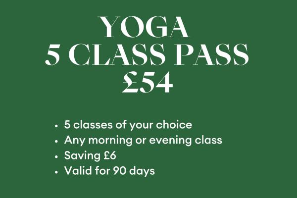 5 class pass