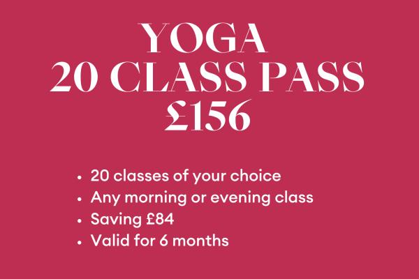 20 class pass