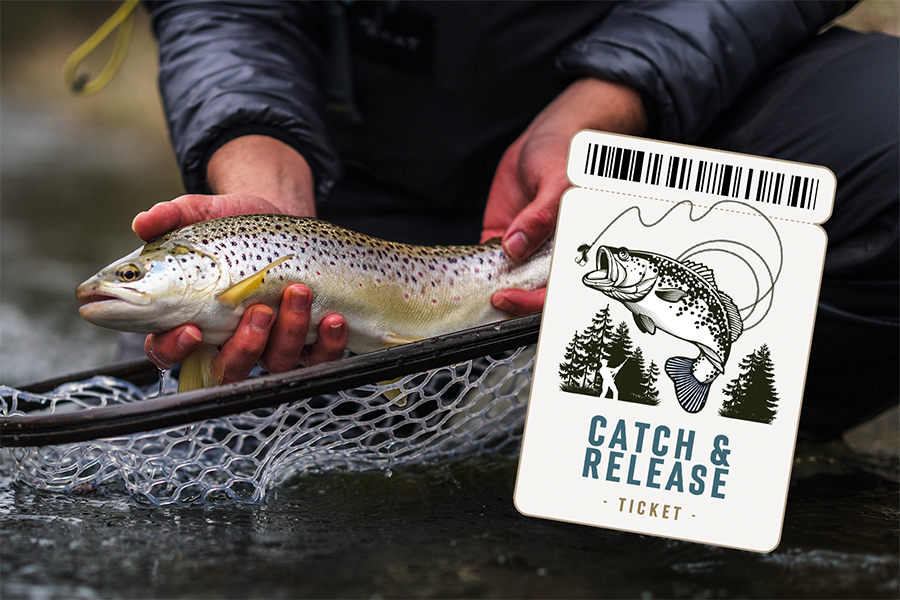The Fishery - Catch & Release Ticket