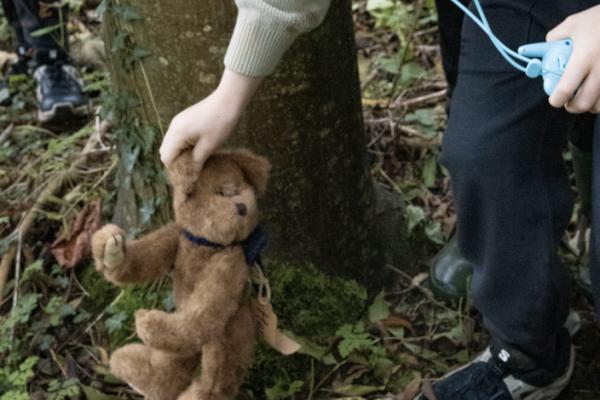 Teddy Bear Hunt | Age 2+ (Owners and Overnight Guests Only)