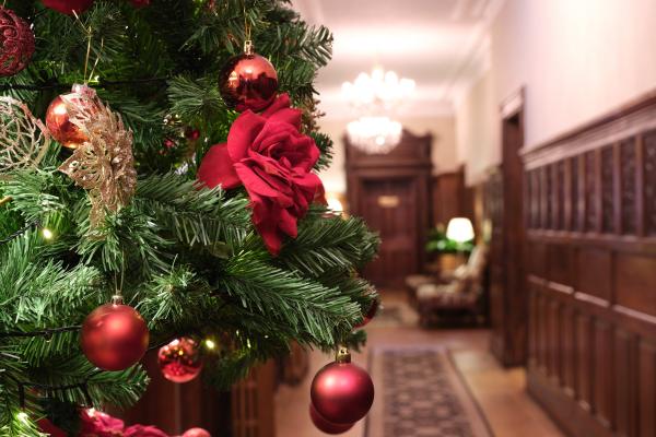Festive Spa and Dine