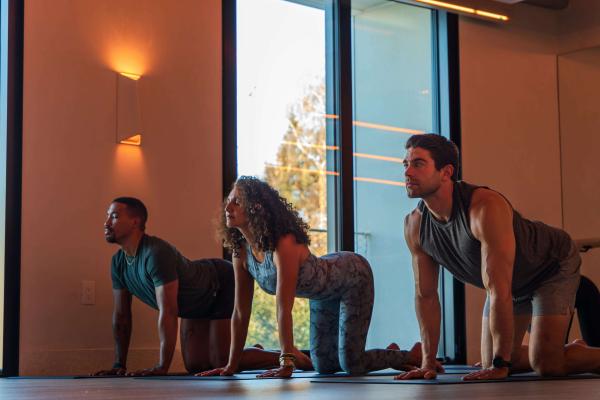 ✦ Warm Gentle Vinyasa