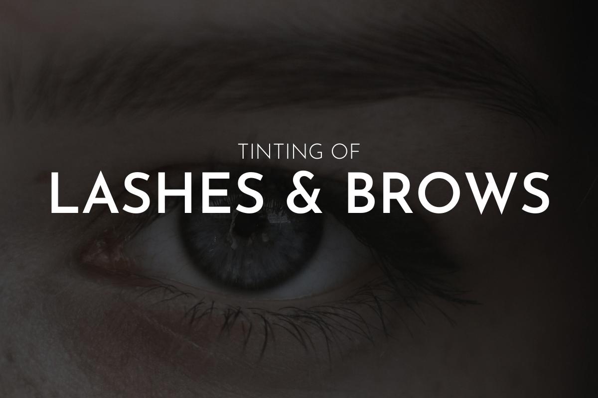 Lash & Brow Tint