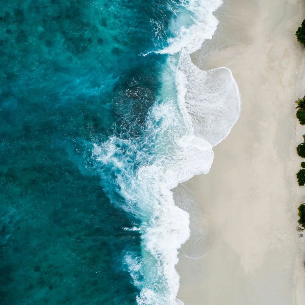 Seascapes: An Artist Inspired Series