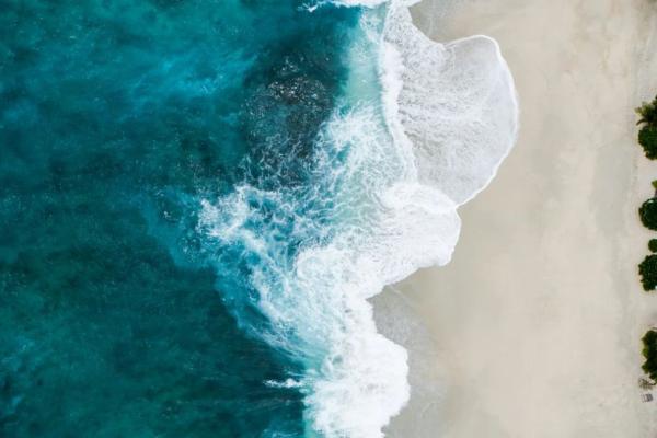 Seascapes: An Artist Inspired Series