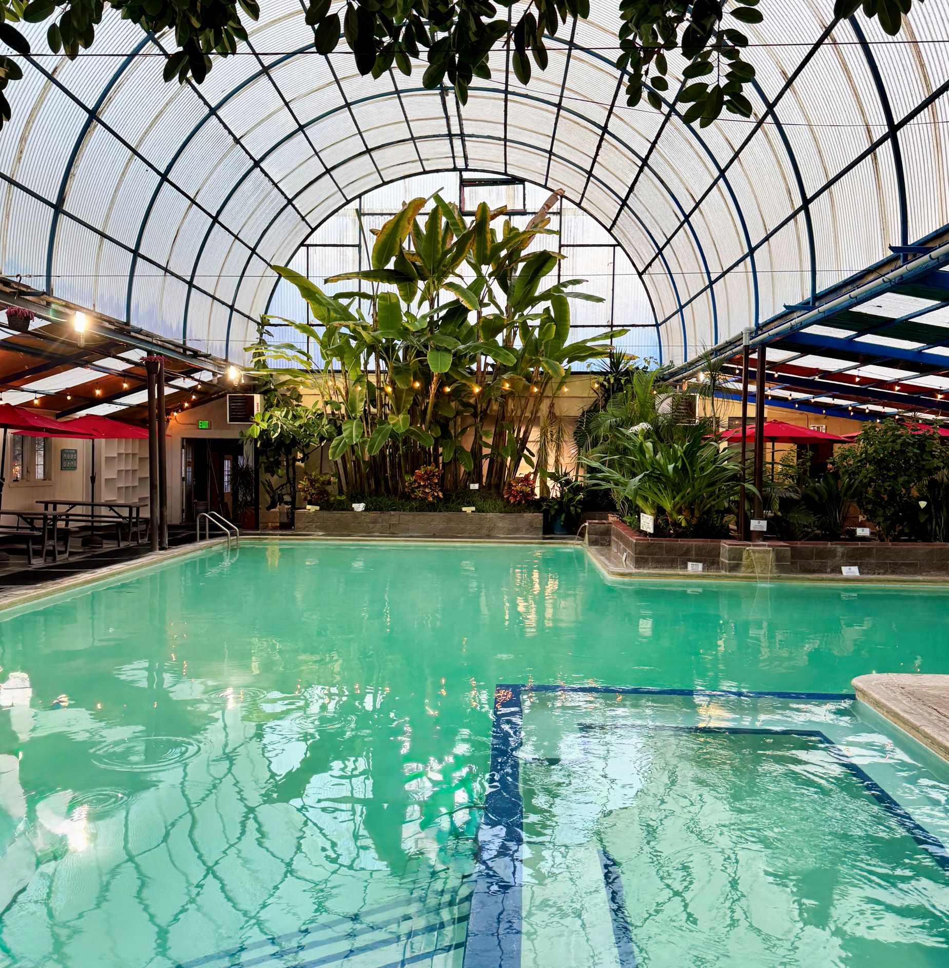 🌞 Weekend Pool | Midday | 10:30 AM - 2:00 PM