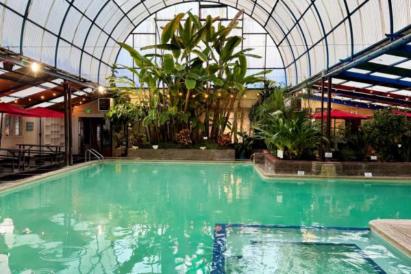 🌤️ Weekend Pool | Afternoon | 3:00 - 6:30 PM