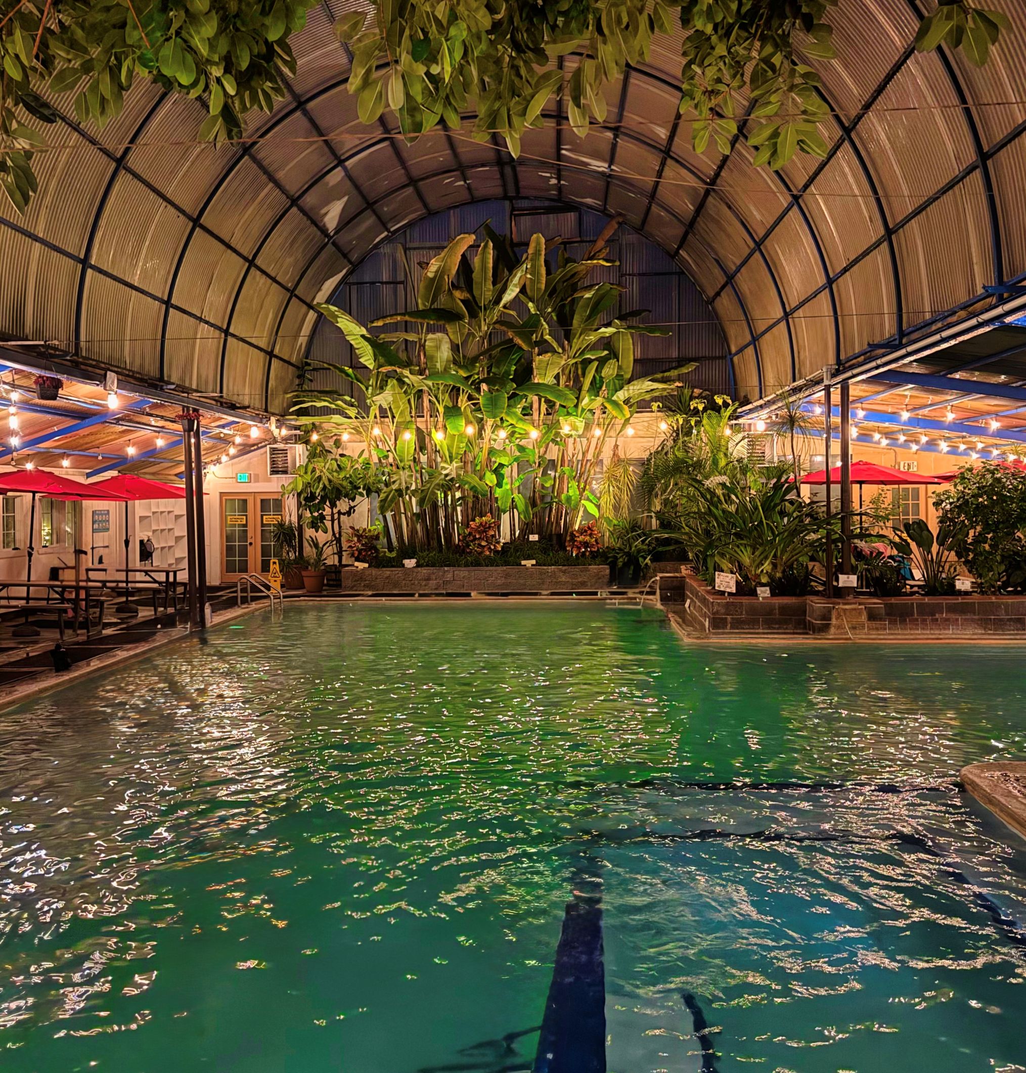 🌙 Weekend Pool | Adult Quiet Swim | 7:30 - 9:30 PM