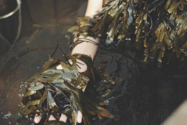 Duo Lazy Days Detox Seaweed Bath | VOYA