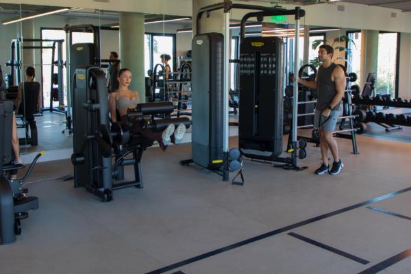 ✦ CASCADA Strength: Bench Focus